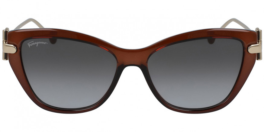 FERRAGAMO SUNGLASS サングラス SF928S INJECTED 210