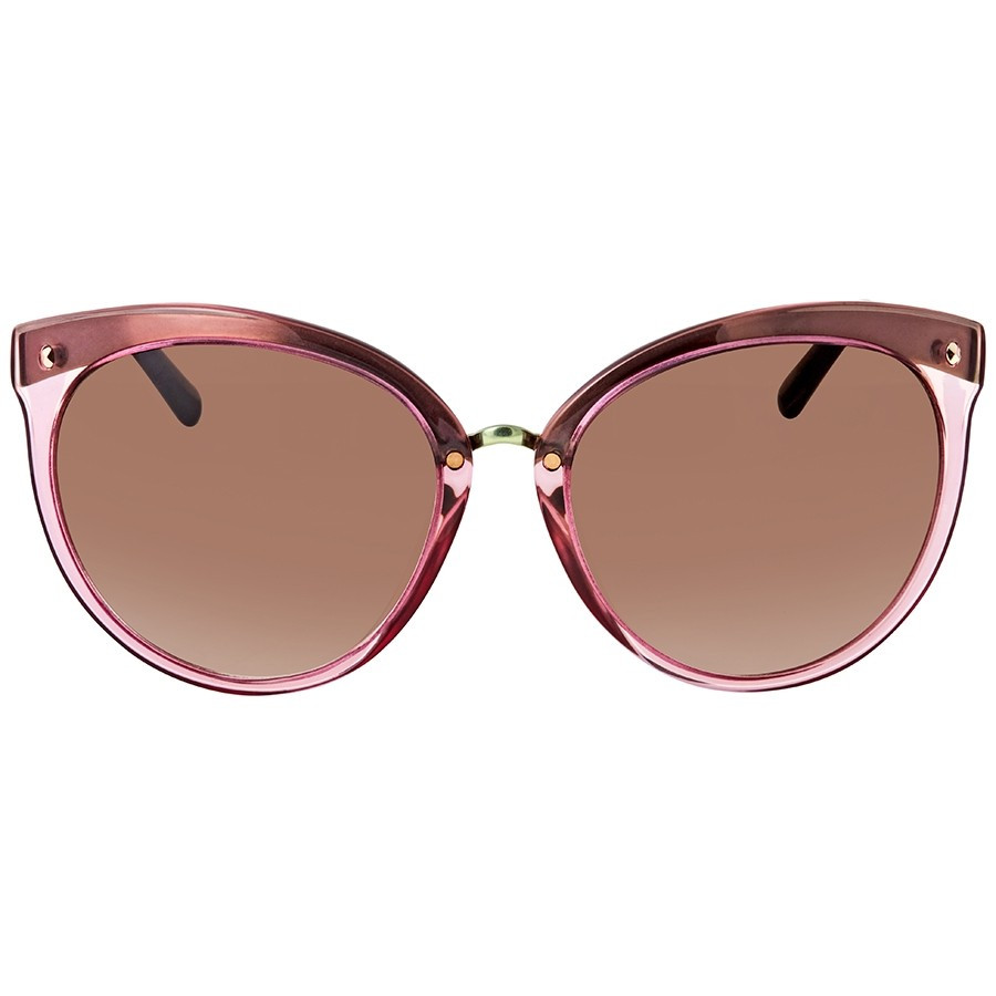 DIOR EYEWEAR ディオール アイウェア DIORFROZEN1 BCE